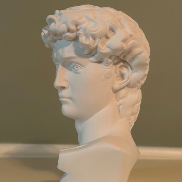 Michelangelo's David Bust - Picture 10 of 16